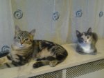 Foto0311.jpg
