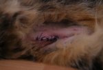 DSC05696.jpg