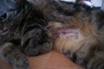 DSC05675.jpg