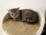 IMG_0946_janosch.JPG