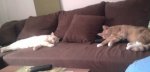 Foto09142.jpg