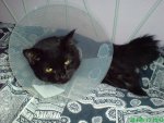 DSC01178.jpg