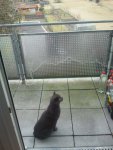 IMG-20120304-WA0006.jpg