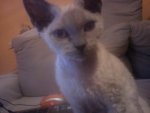 DSC00249.jpg