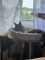 20230822_174452.jpg