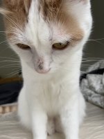 IMG_1442.jpeg