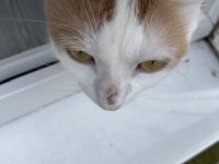 IMG_1437.jpeg