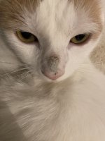 IMG_1335.jpeg