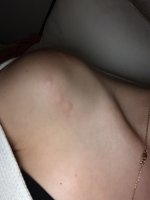 IMG_3518.jpeg