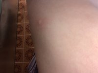 IMG_3522.jpeg