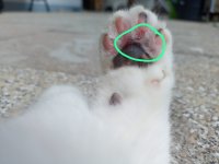 d027418b-3a94-472a-a0aa-dbbaee68f0d8.jpeg