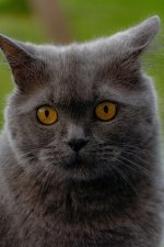 DSC08980-2.jpg