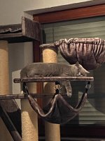 IMG_3976.jpeg