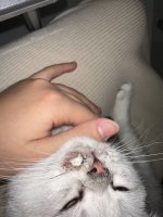 IMG_7223.jpeg