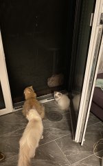 IMG_4206.jpeg