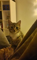 20230925_205641.jpg