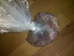 2012-03-24_21-48-36_458.jpg