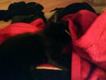 DSC00035.JPG