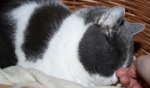Bilder 004.jpg