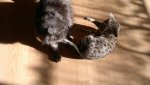 2012-04-01-070.jpg