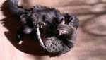 2012-04-01-069.jpg