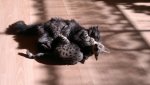 2012-04-01-067.jpg