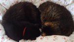 DSC03892.jpg