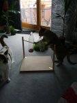 IMG_20120407_185415.jpg