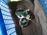 2012-04-12 08.18.49.jpg