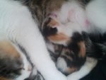 2012-04-12 13.16.45.jpg