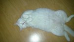 20101012_004.jpg