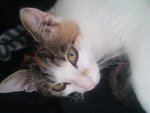 2012-04-12 13.16.57.jpg