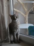 DSC_0330.jpg