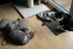 DSC_0343.jpg