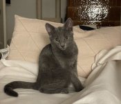 IMG_2438.jpeg