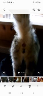 Screenshot_20231125_181218_Gallery.jpg