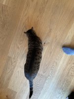 IMG_0824.jpeg