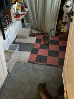 IMG_6301.jpeg