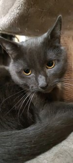 1701265578118.jpg