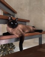 IMG_6075.jpeg