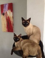 IMG_6083.jpeg