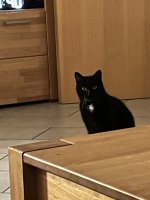 IMG_3448.jpeg
