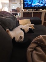 20231206_201017.jpeg