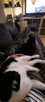 20240119_203336.jpeg