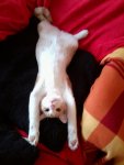 Foto0722.jpg