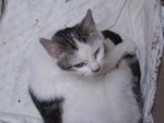 CIMG0221.jpg