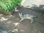 2012-04-28 09.27.31.jpg