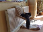 240520121181.jpg