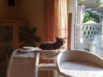 240520121177.jpg