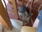 240520121178.jpg